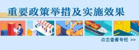 重要政策舉措及實施效果